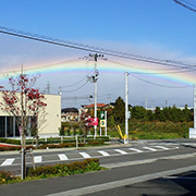 41 虹の架け橋